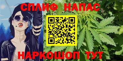ПСИЛОЦИБИНОВЫЕ ГРИБЫ Нальчик