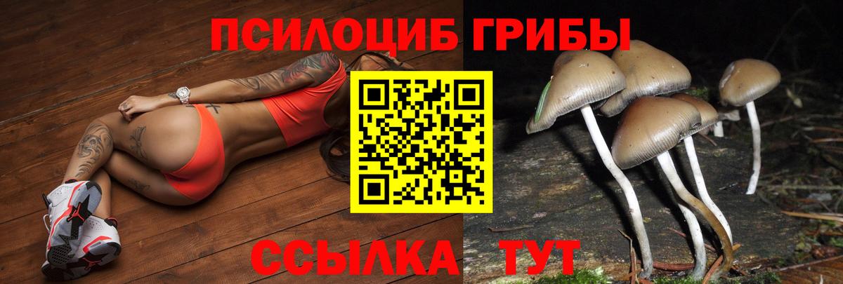 Галлюциногенные грибы мицелий Таганрог